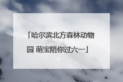 哈尔滨北方森林动物园 萌宝陪你过六一