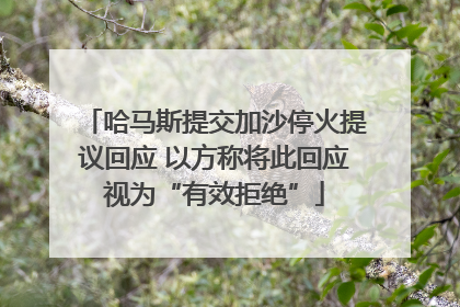 哈马斯提交加沙停火提议回应 以方称将此回应视为“有效拒绝”