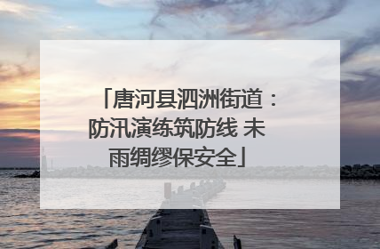 唐河县泗洲街道：防汛演练筑防线 未雨绸缪保安全