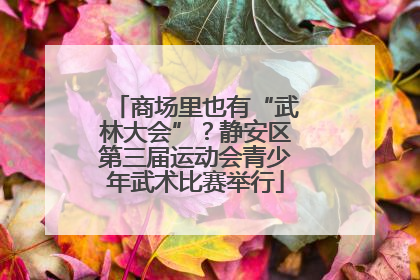 商场里也有“武林大会”？静安区第三届运动会青少年武术比赛举行