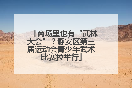 商场里也有“武林大会”？静安区第三届运动会青少年武术比赛拉举行