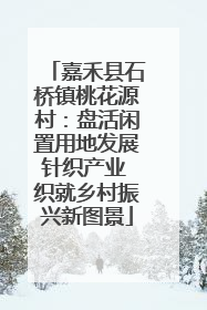 嘉禾县石桥镇桃花源村：盘活闲置用地发展针织产业 织就乡村振兴新图景