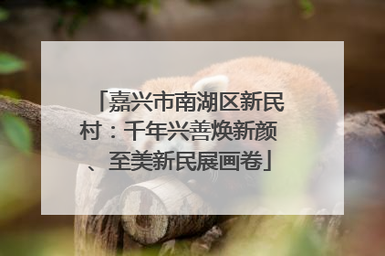 嘉兴市南湖区新民村：千年兴善焕新颜、至美新民展画卷