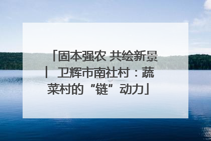 固本强农 共绘新景 ︳卫辉市南社村：蔬菜村的“链”动力