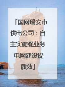 国网瑞安市供电公司：自主实施强业务 电网建设提质效