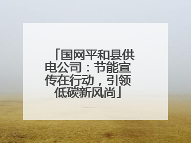 国网平和县供电公司：节能宣传在行动，引领低碳新风尚
