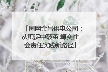 国网金昌供电公司：从积淀中破茧 蝶变社会责任实践新路径