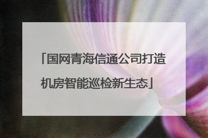 国网青海信通公司打造机房智能巡检新生态