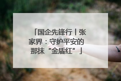 国企先锋行丨张家界：守护平安的那抹“金盾红”