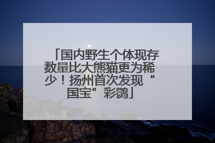国内野生个体现存数量比大熊猫更为稀少！扬州首次发现“国宝”彩鹮
