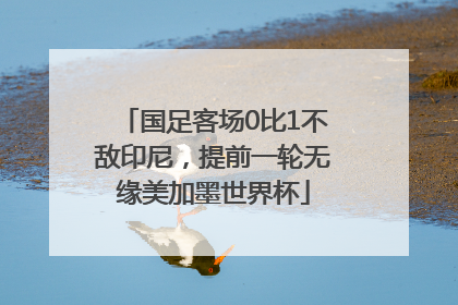 国足客场0比1不敌印尼，提前一轮无缘美加墨世界杯
