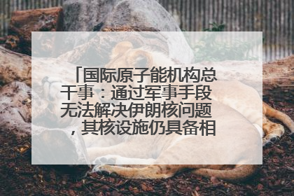 国际原子能机构总干事：通过军事手段无法解决伊朗核问题，其核设施仍具备相关产能，只需要数月就能生产出浓缩铀