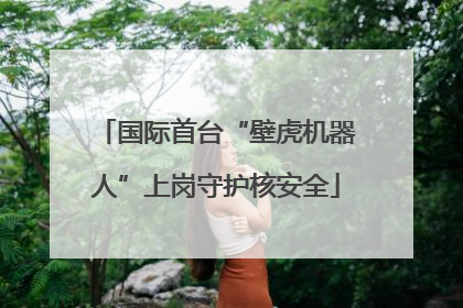 国际首台“壁虎机器人”上岗守护核安全