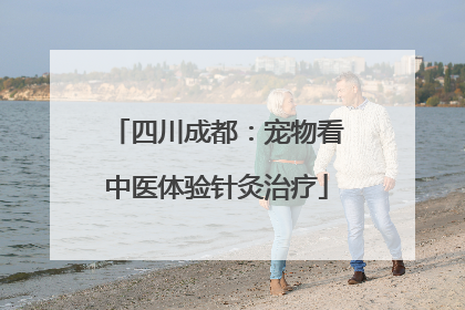 四川成都：宠物看中医体验针灸治疗