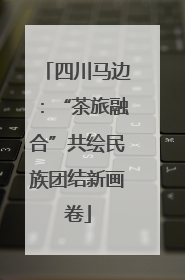 四川马边：“茶旅融合”共绘民族团结新画卷