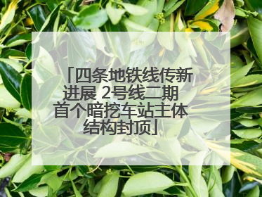 四条地铁线传新进展 2号线二期首个暗挖车站主体结构封顶