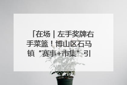 在场｜左手奖牌右手菜篮！博山区石马镇“赛事+市集”引燃周末经济
