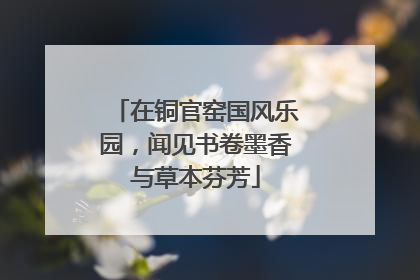 在铜官窑国风乐园，闻见书卷墨香与草本芬芳