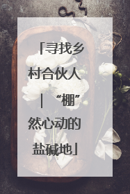 寻找乡村合伙人｜“棚”然心动的盐碱地