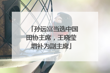 孙远富当选中国田协主席，王晓莹增补为副主席
