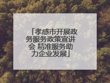 孝感市开展政务服务政策宣讲会 精准服务助力企业发展
