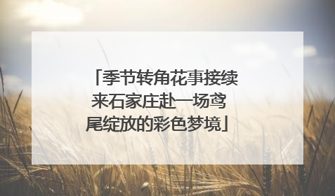 季节转角花事接续 来石家庄赴一场鸢尾绽放的彩色梦境