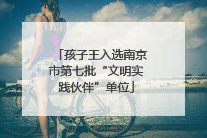 孩子王入选南京市第七批“文明实践伙伴”单位
