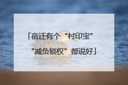 宿迁有个“村印宝” “减负锁权”都说好