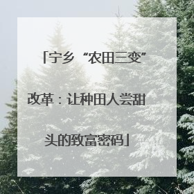 宁乡“农田三变”改革：让种田人尝甜头的致富密码