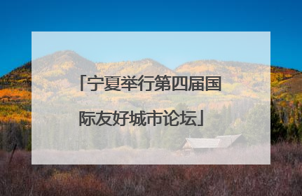 宁夏举行第四届国际友好城市论坛