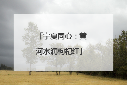 宁夏同心：黄河水润枸杞红