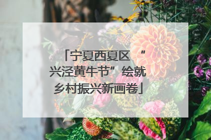 宁夏西夏区 “兴泾黄牛节”绘就乡村振兴新画卷