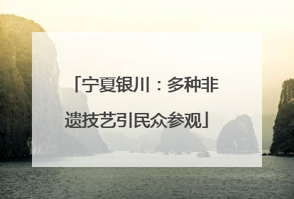 宁夏银川：多种非遗技艺引民众参观