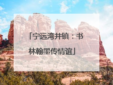 宁远湾井镇：书林翰墨传情谊
