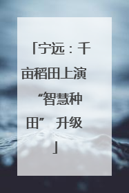 宁远：千亩稻田上演 “智慧种田” 升级