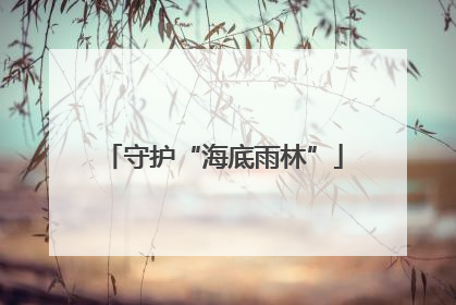 守护“海底雨林”