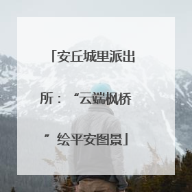 安丘城里派出所：“云端枫桥”绘平安图景