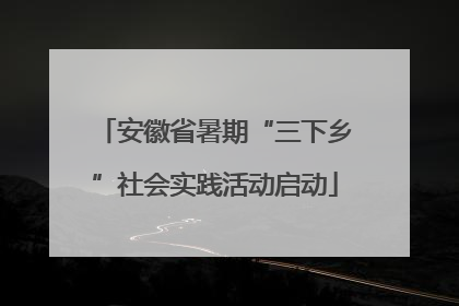 安徽省暑期“三下乡”社会实践活动启动