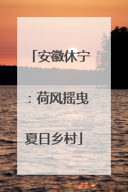 安徽休宁：荷风摇曳夏日乡村