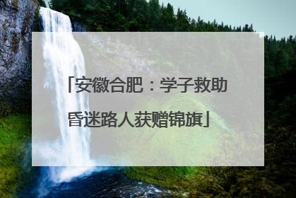 安徽合肥：学子救助昏迷路人获赠锦旗