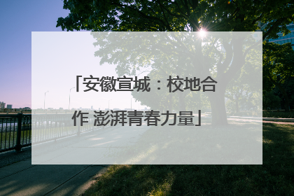安徽宣城：校地合作 澎湃青春力量