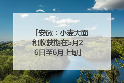 安徽：小麦大面积收获期在5月26日至6月上旬