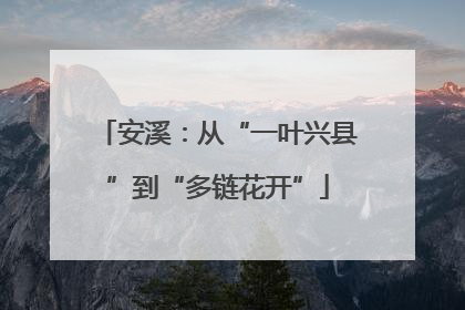 安溪：从“一叶兴县”到“多链花开”