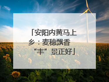 安阳内黄马上乡：麦穗飘香 “丰”景正好