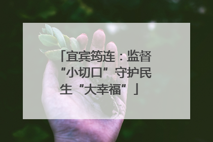 宜宾筠连：监督“小切口”守护民生“大幸福”