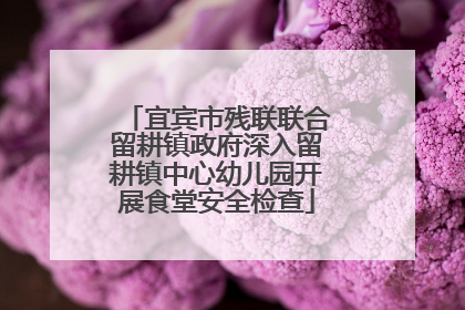 宜宾市残联联合留耕镇政府深入留耕镇中心幼儿园开展食堂安全检查