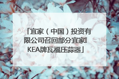 宜家（中国）投资有限公司召回部分宜家IKEA牌瓦福压蒜器
