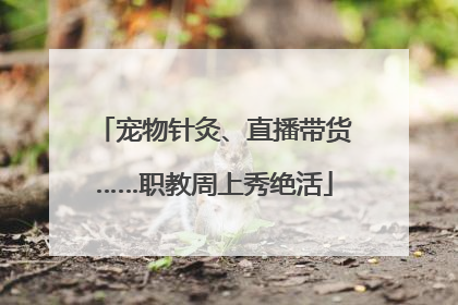 宠物针灸、直播带货……职教周上秀绝活