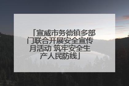 宣威市务德镇多部门联合开展安全宣传月活动 筑牢安全生产人民防线