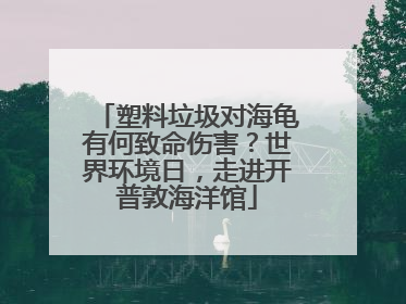 塑料垃圾对海龟有何致命伤害？世界环境日，走进开普敦海洋馆